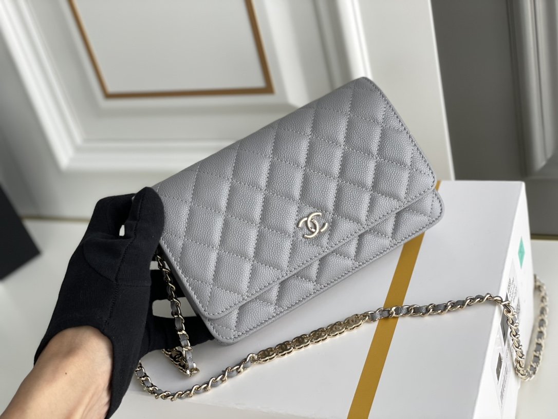 Chanel WOC Bags